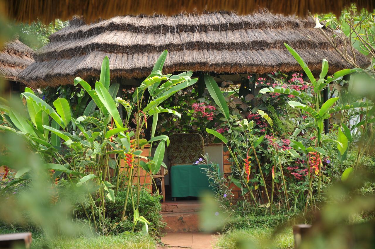 New Court View Hotel Masindi Exterior foto